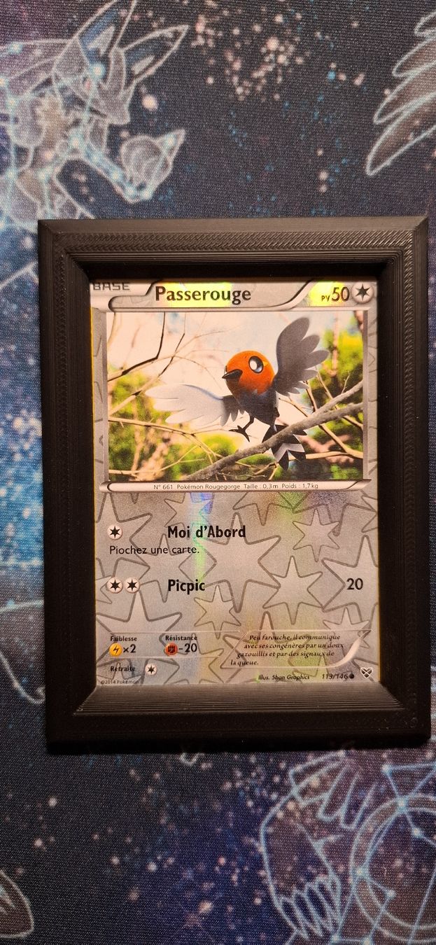 Pokémon Carte collezionabili: Passerouge reverse 113/146 - XY FR – Usato da Petit-Lancy venduto da Kara_TCG