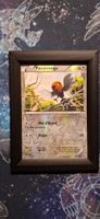 Passerouge reverse 113/146 - XY FR
