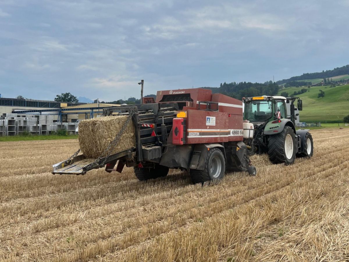 Tutte le macchine: Quaderballenpresse Hesston – Usato da Richenthal venduto da wer_7mvw
