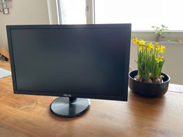 Asus Monitor 24' - Ideal für Homeoffice