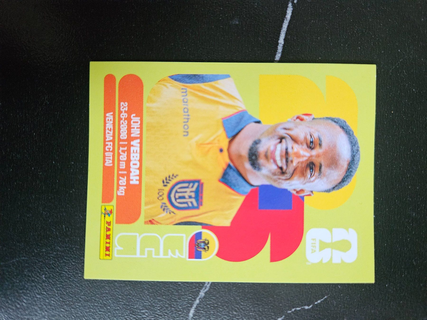 Panini Carte collezionabili: ECU 14 – Usato da Würenlingen venduto da Dinli