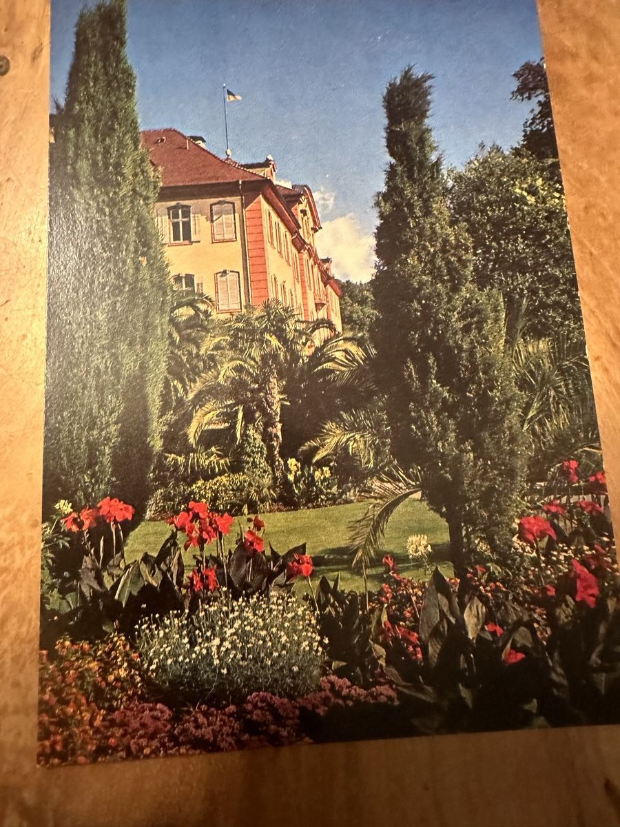 Cartoline postali: Ältere Ansichtskarte von der Insel Mainau – Usato da Frauenfeld venduto da aluma14