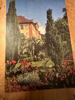 Ältere Ansichtskarte von der Insel Mainau