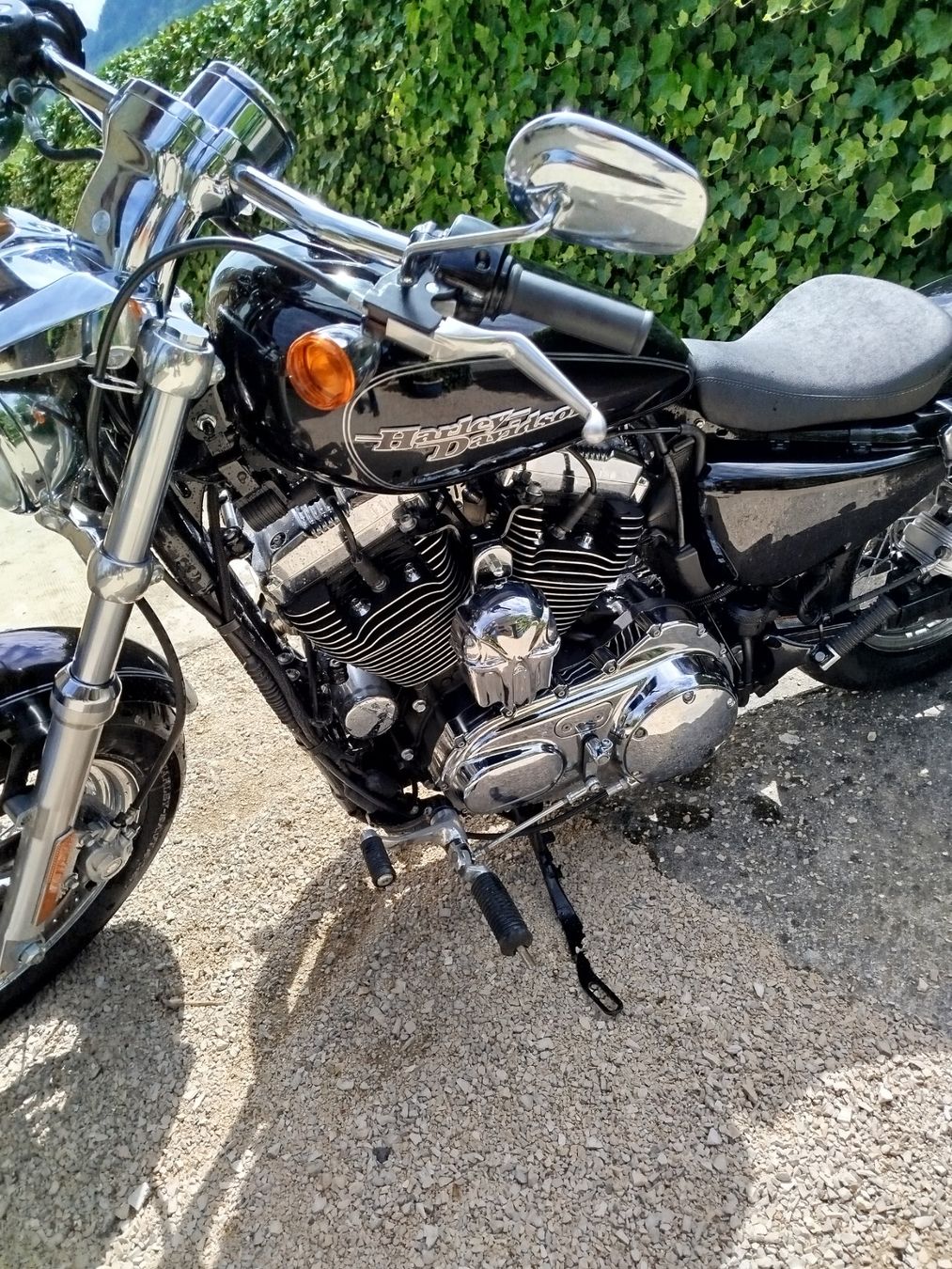 Harley-Davidson Chopper: Harkey-Davidson XL 1200C – Usato da Broc venduto da Ruff1 1