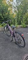 Bicicletta da città Pulse viola con portapacchi