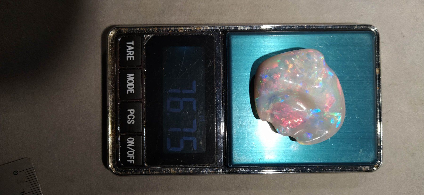 Fossili: Opalisierte Muschel – Nuovo (secondo la descrizione) da Dieterswil venduto da Opal66 2