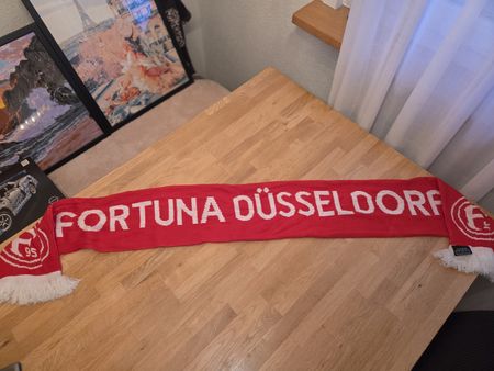 Schal Fortuna Düsseldorf