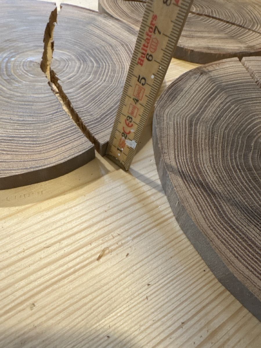 Holzartikel: Deko Holzscheiben Baumscheiben – Gebraucht aus Brunnen von Holz-style 2