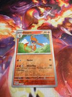 Panpyro (TWM 032) / Reverse Holo / Maskerade im Zwielicht