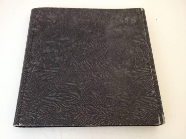 Dischi in vinile: Schellackplatten-Album inkl. 6 Platten – Usato da Brügg BE venduto da rutschimedizin