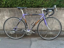 Cadex Giant - Carbon/Alu Rahmen