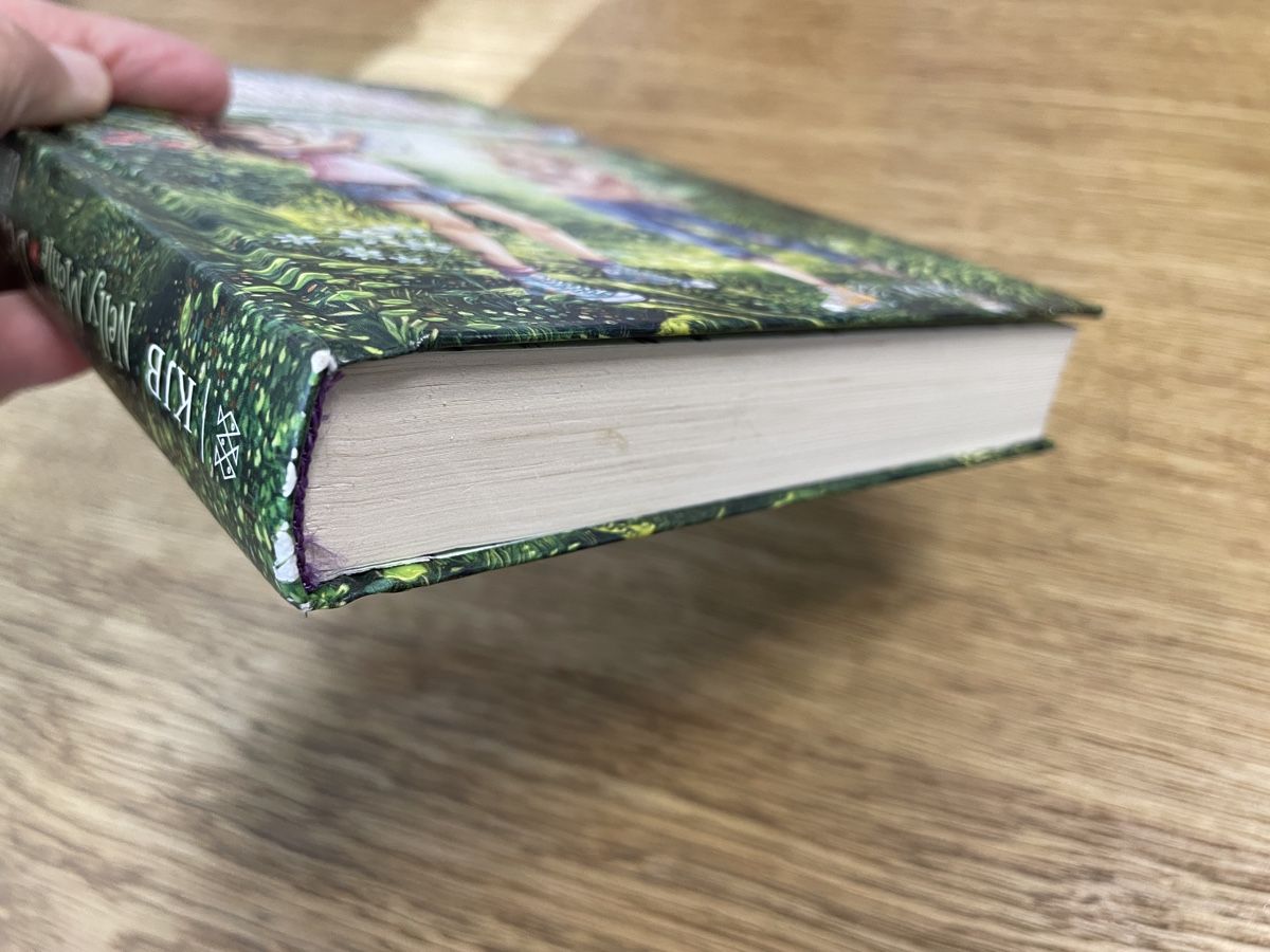 Libri: Der Zaubergarten Bd 1-6 – Usato da Elsau venduto da Lusmus13 8