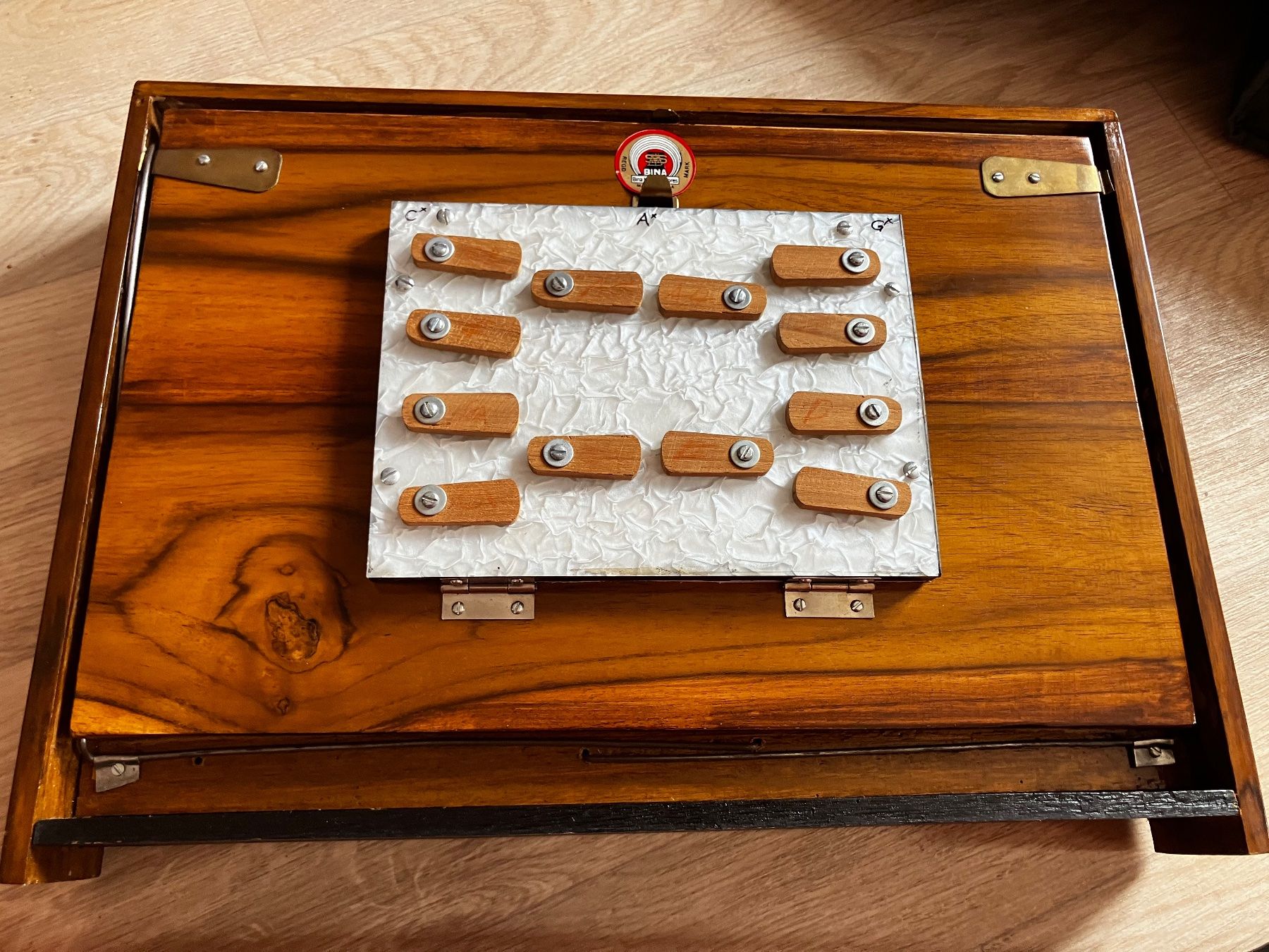 Strumenti musicali: Shruti-Box Bina – Usato da Kirchdorf BE venduto da bar_6c2l 2