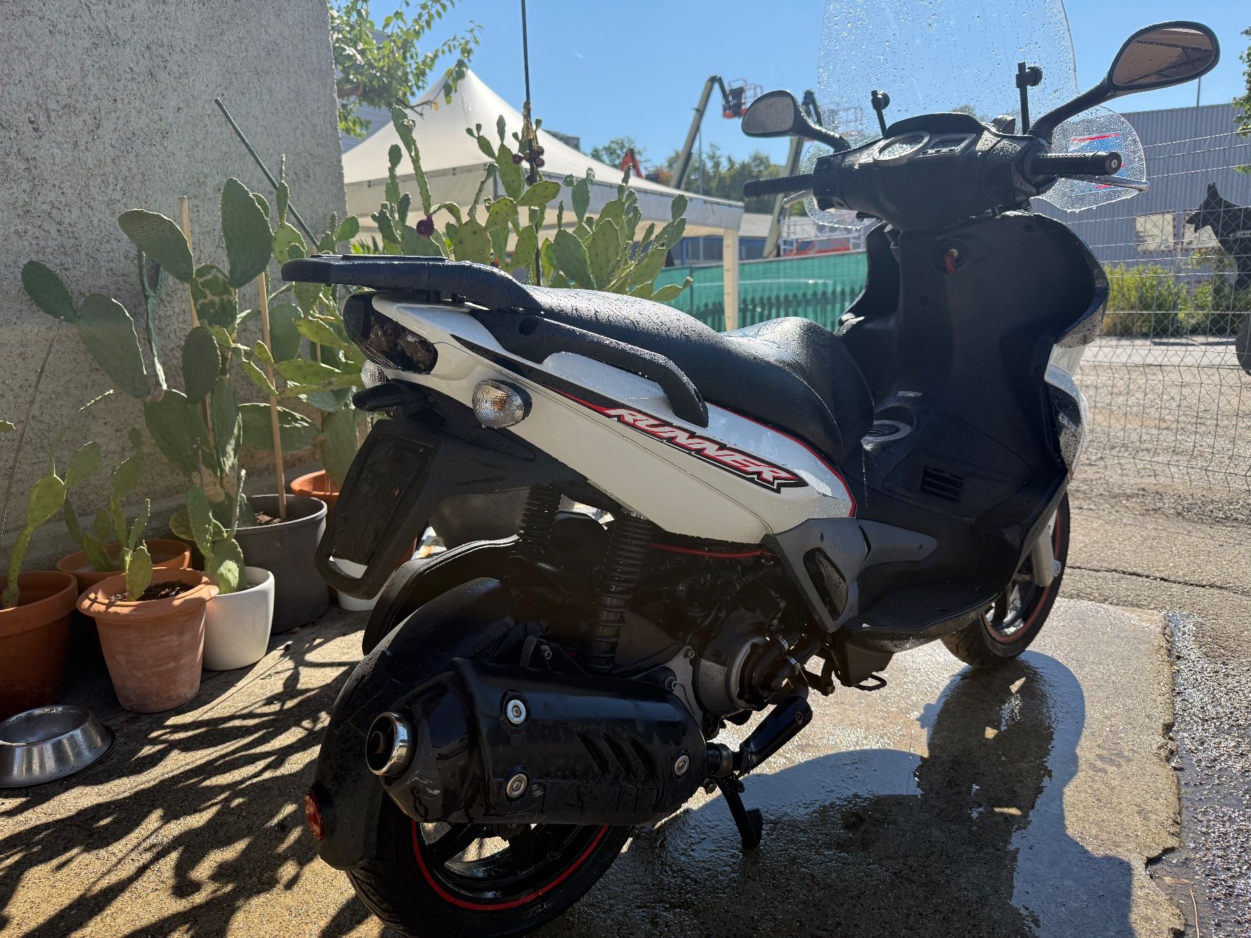 Gilera Scooter: Gilera Runner 125 ST mit MFK 7.2025 – Usato da Aarburg venduto da Ricardolager 4