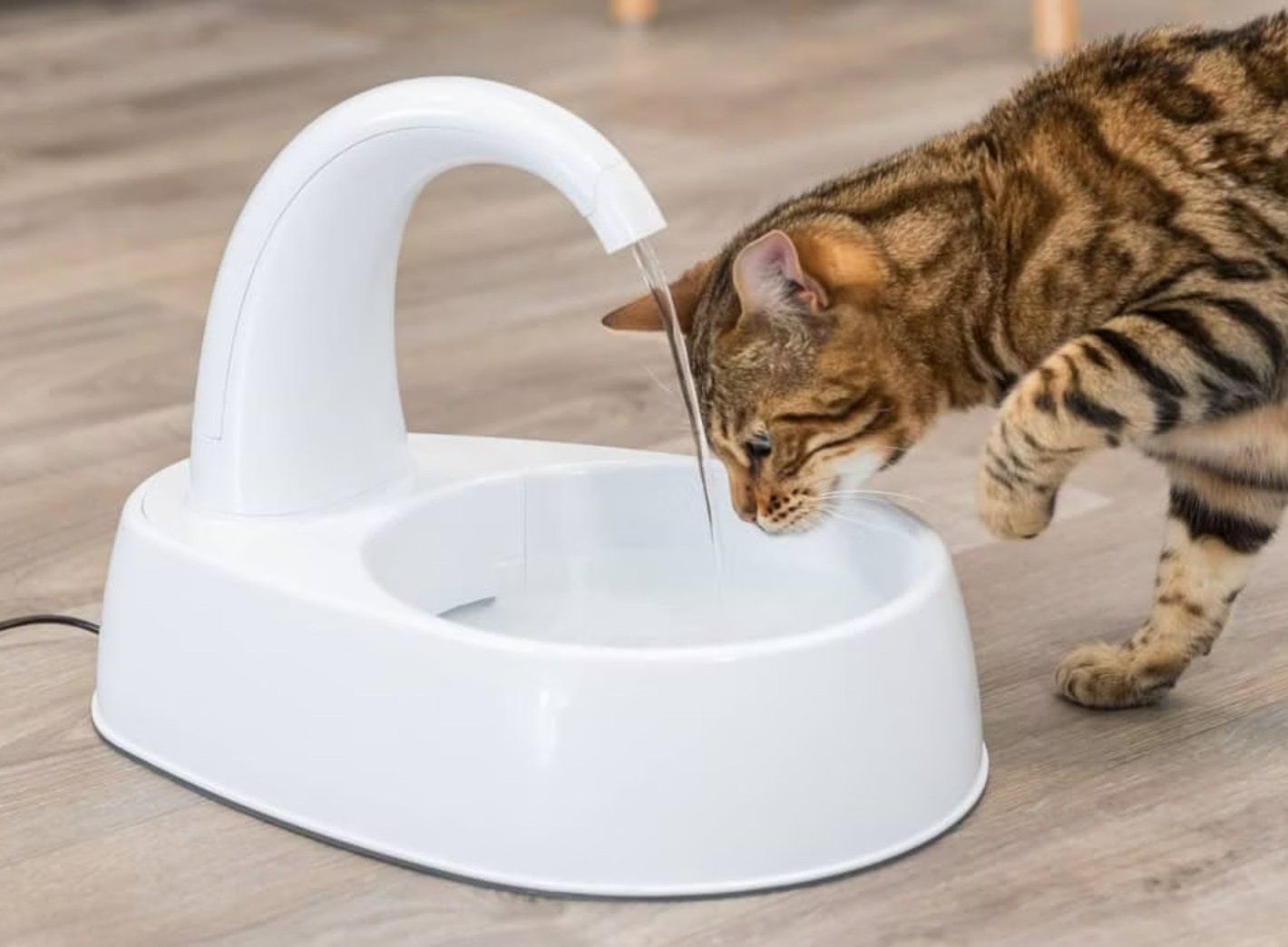 Stagni & Fontane ornamentali: Katze / Hund Trinkbrunnen Trixie – Nuovo (secondo la descrizione) da Obergerlafingen venduto da S-T-S 1