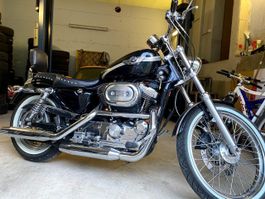 HARLEY-DAVIDSON XL 1200 C Sportster 100e anniversaire Custom