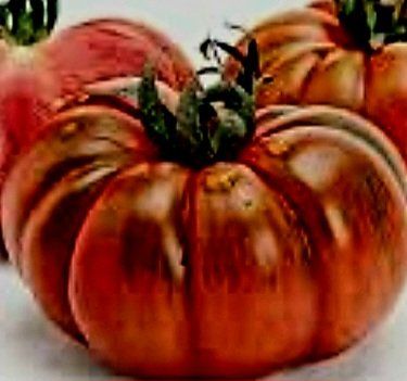 Pflanzen & Samen: Ab 5.- fr 5 Samen schwarze RIPPENTOMATE – Neu und originalverpackt aus Rovio von POSITIFFARTandPLANTS 2