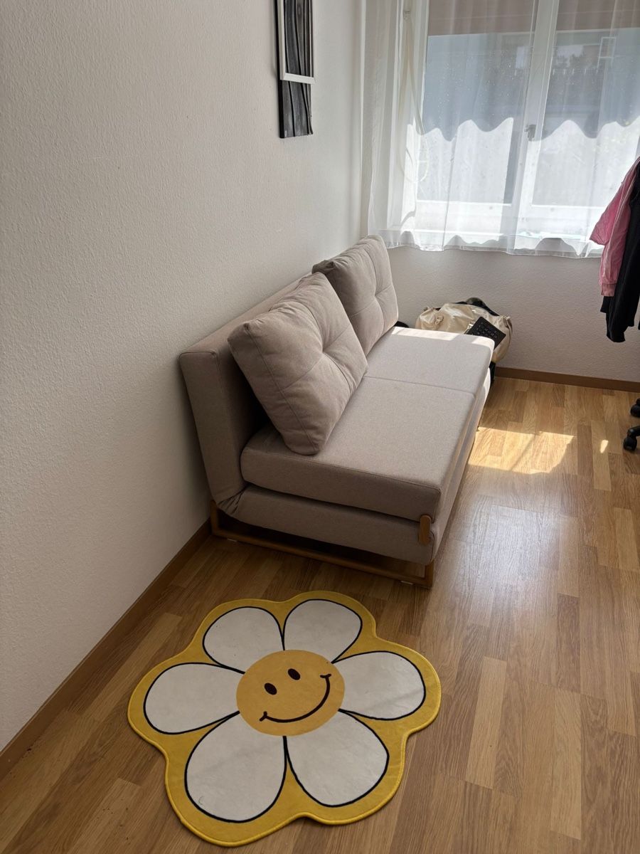 Sofas: Bettsofa Malic – Gebraucht aus Zürich von wie_p6fw 1