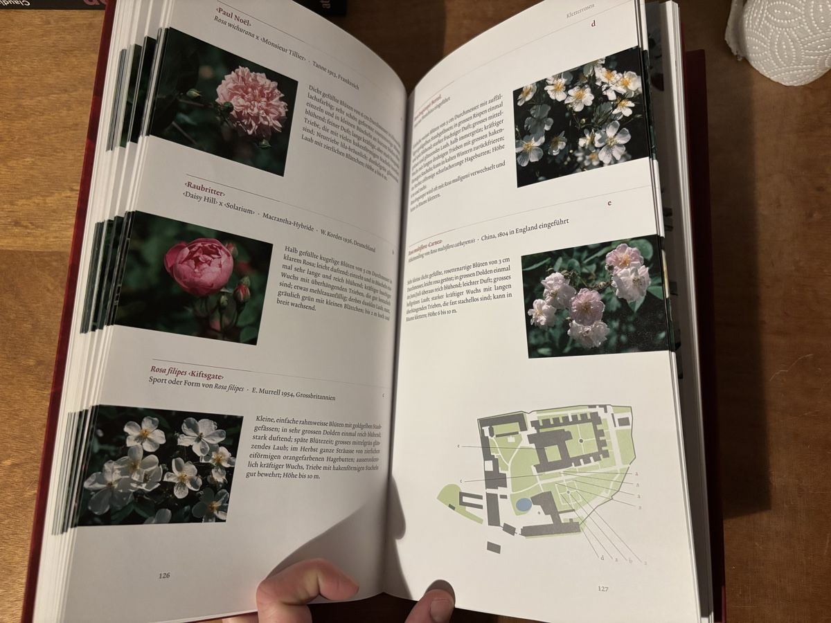 Libri: Die Rosen der Kartause Ittingen – Usato da Zürich venduto da WWehrle 2