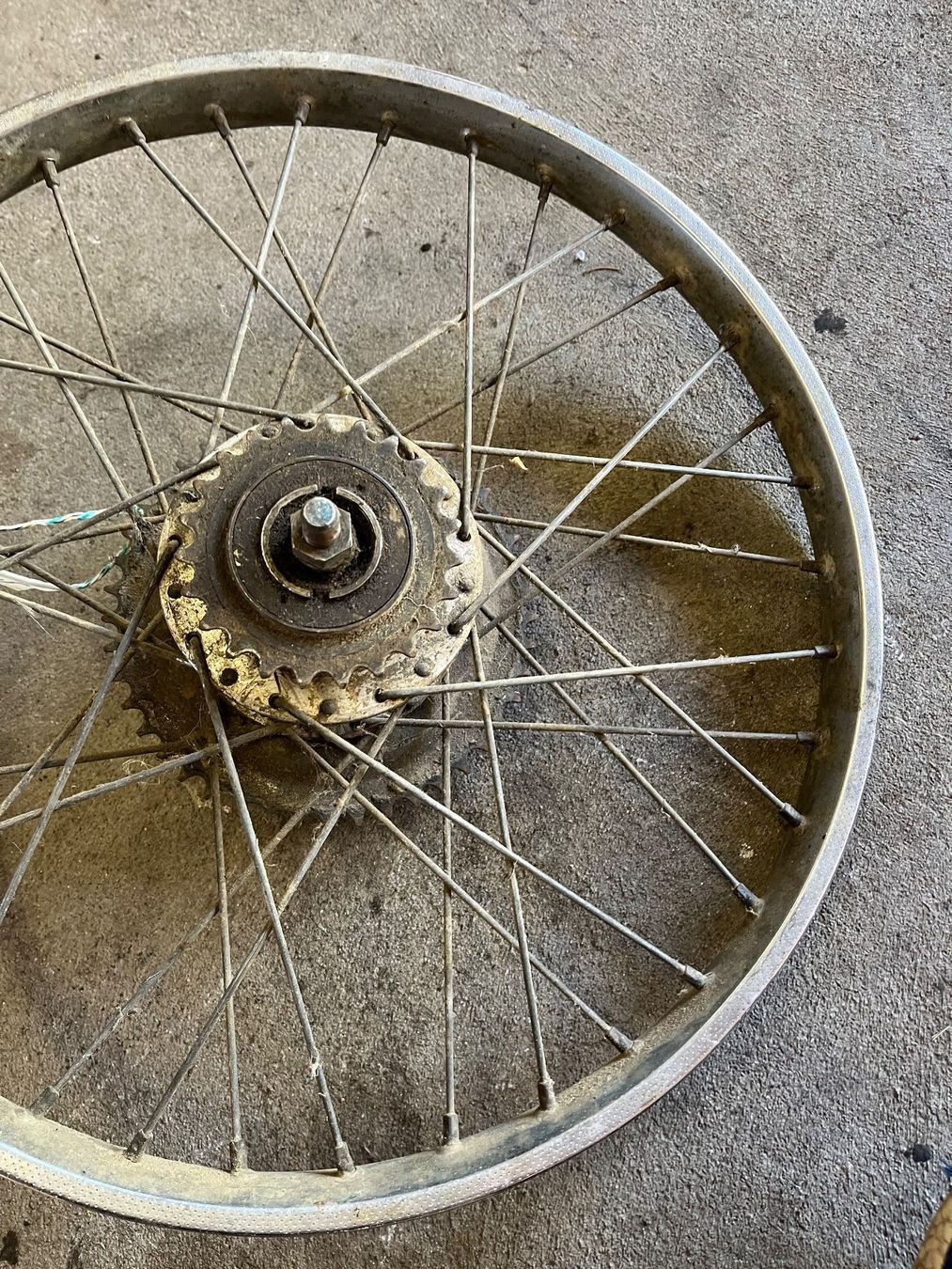 Puch Parti ricambio per ciclomotori: Puch Maxi N Speichen Hinterrad – Difettoso da Fahrni b. Thun venduto da berger_tuning34 6