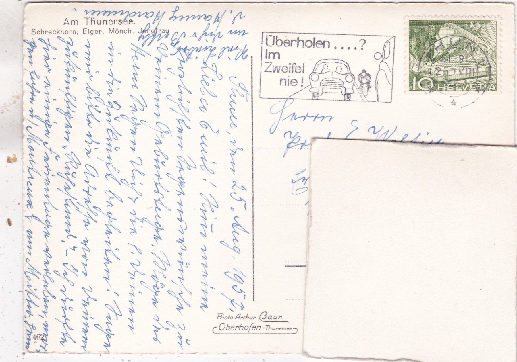 Ansichtskarten: Am Thunersee Schwäne 1957 – Gebraucht aus Herisau von Lisegrat2008 1