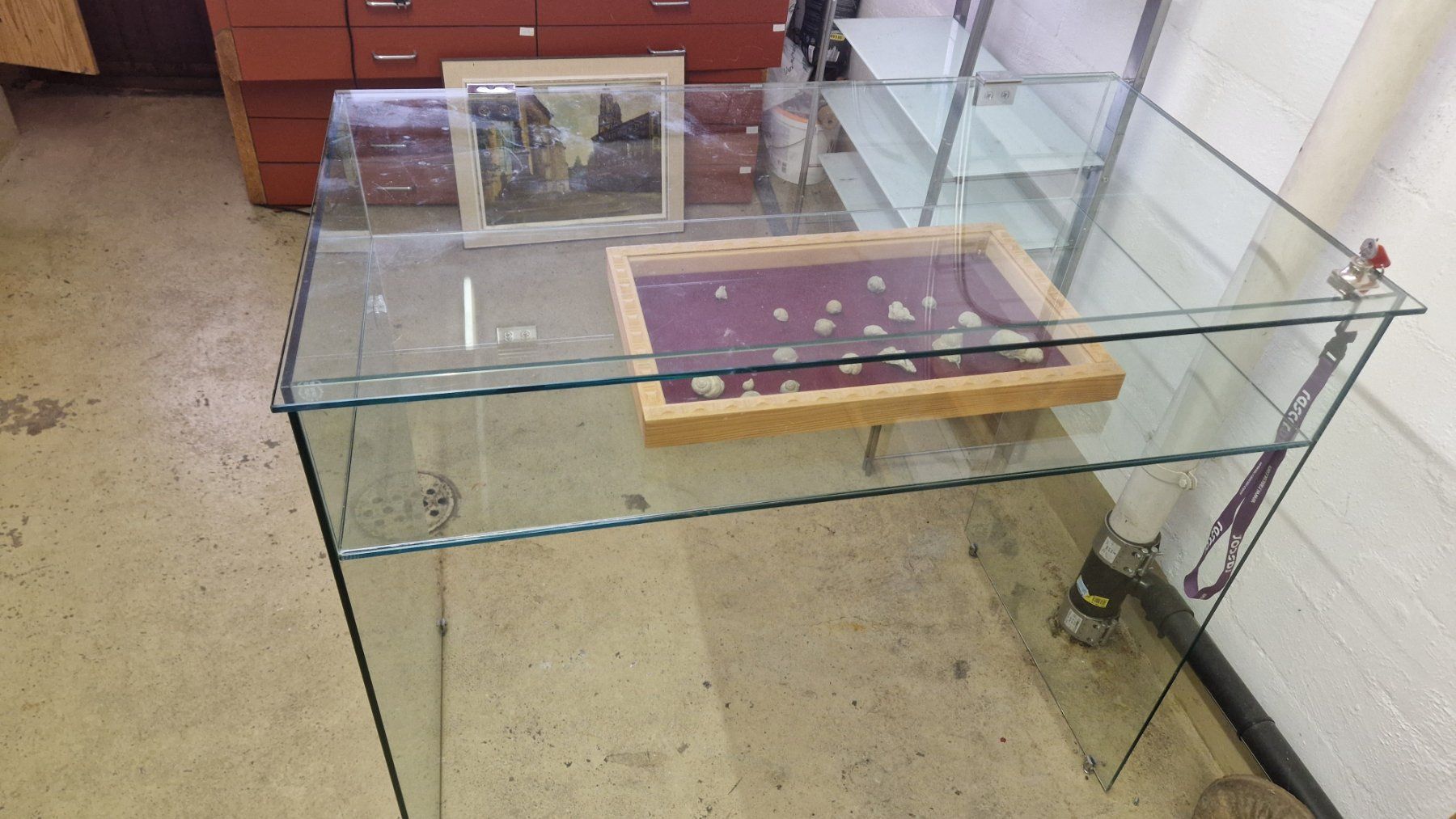 Vitrinen: Glasvitrine – Gebraucht aus Niederhasli von rehauge01 8