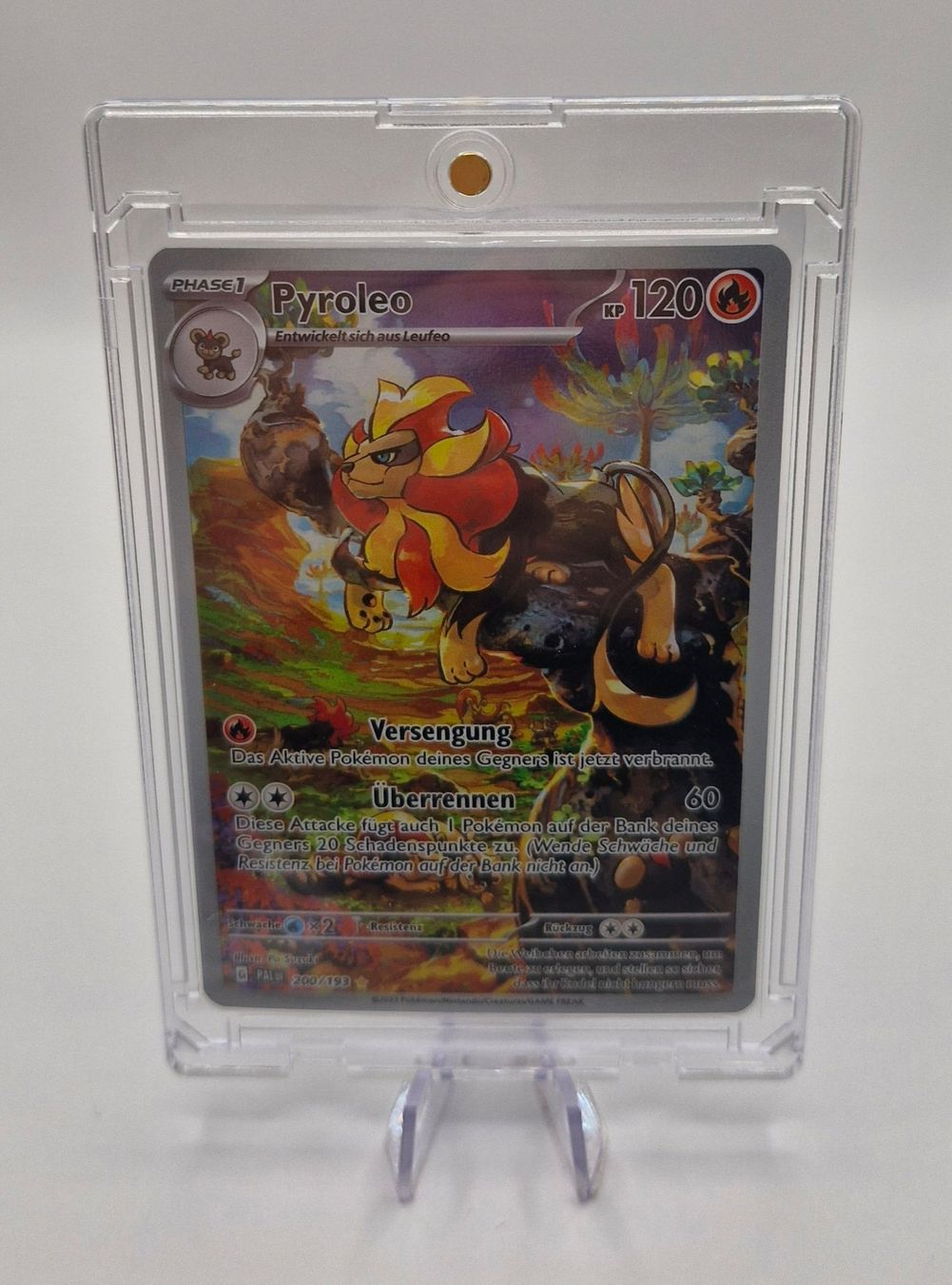 Pokémon Sammelbilder & Trading cards: Pyroleo / Pyroar / Entwicklungen in Paldea / PAL 200 – Neu (gemäss Beschreibung) aus Arni AG von PokemonCardsStore 2