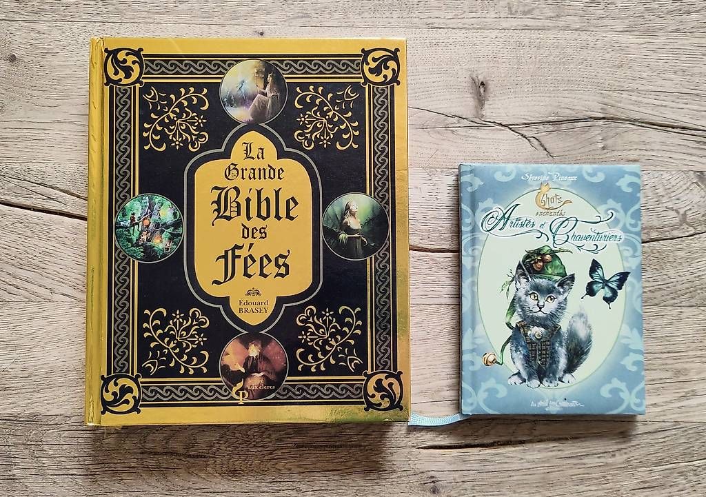 Libri: Lot livres Fantasy – Nuovo (secondo la descrizione) da Yvonand venduto da rox_8y69