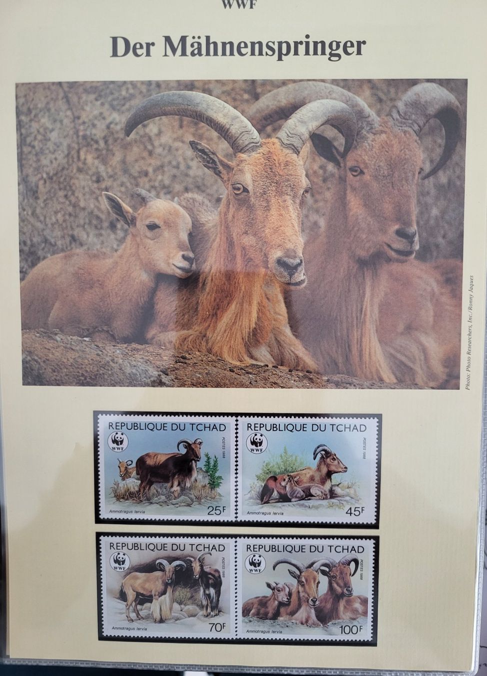 Tutti i francobolli: WWF-Album mit 10 Ausgaben – Nuovo (secondo la descrizione) da Wetzikon ZH venduto da BeniB01 4