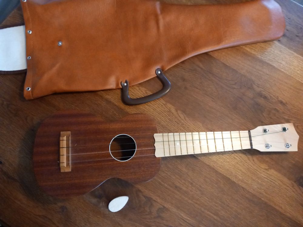 ELAYARD Ukulele Tasche Wasserdicht - Leichte Transporttasche Mit Polsterung Für 21 Zoll Ukulelen