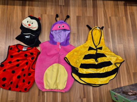 Fasnacht 1 Kostüm nach Wahl K31