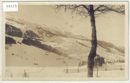 Wildhaus im Winter