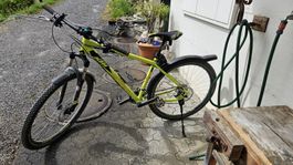 KTM Fahrrad Hardtail Gelb Grösse M guter Zustand