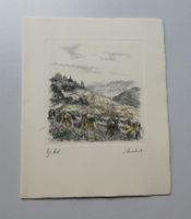 Original Radierung  Landschaft Heinzen
