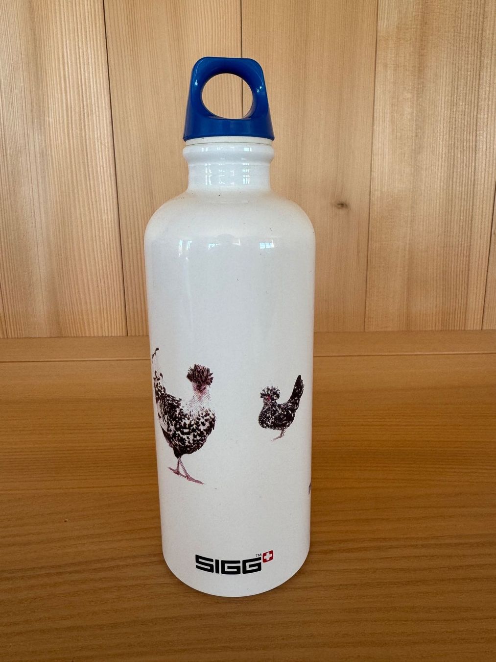 Sigg Borracce & Thermos: Trinkflasche SIGG - Durchmesser 7cm – Nuovo (secondo la descrizione) da Rombach venduto da MarkusJohannes 2