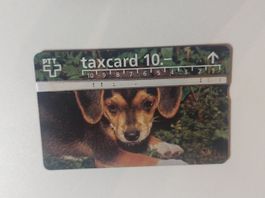 PTT Taxcard mit Hundemotiv