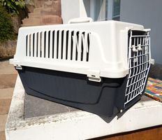 Kleintiertransportbox