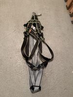 EDELRID Klettergurte 4 Stück in sehr guter Zustand 
