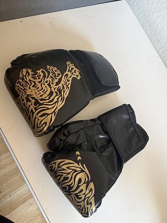 Guanti & manicotti: Boxhandschuhe und Zubehör  – Usato da Gelterkinden venduto da lor_vb8g 1