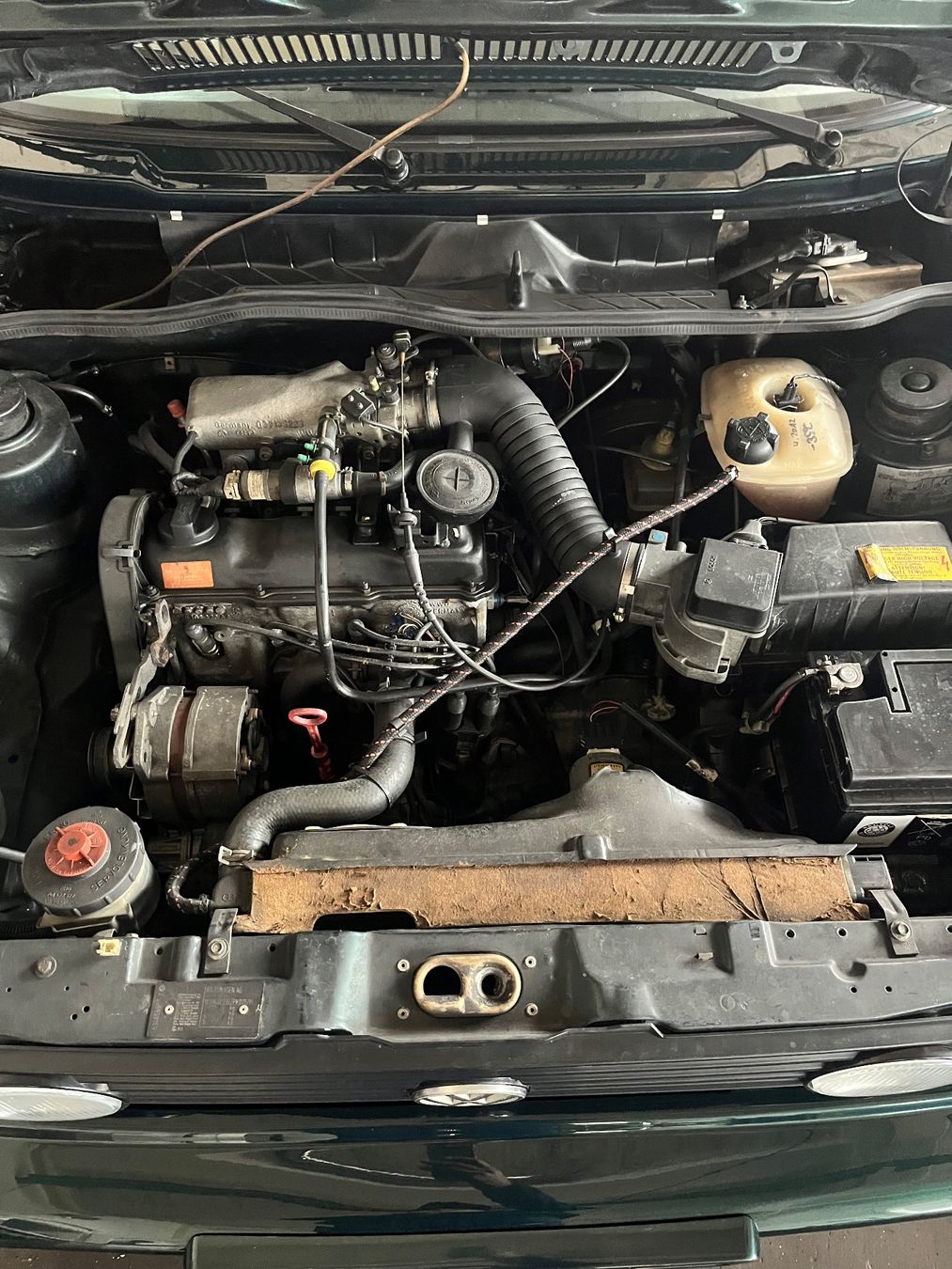 VW Automobili: VW Golf Cabrio Classic Line Oldtimer frisch ab MFK – Usato da Zwingen venduto da Boban 5