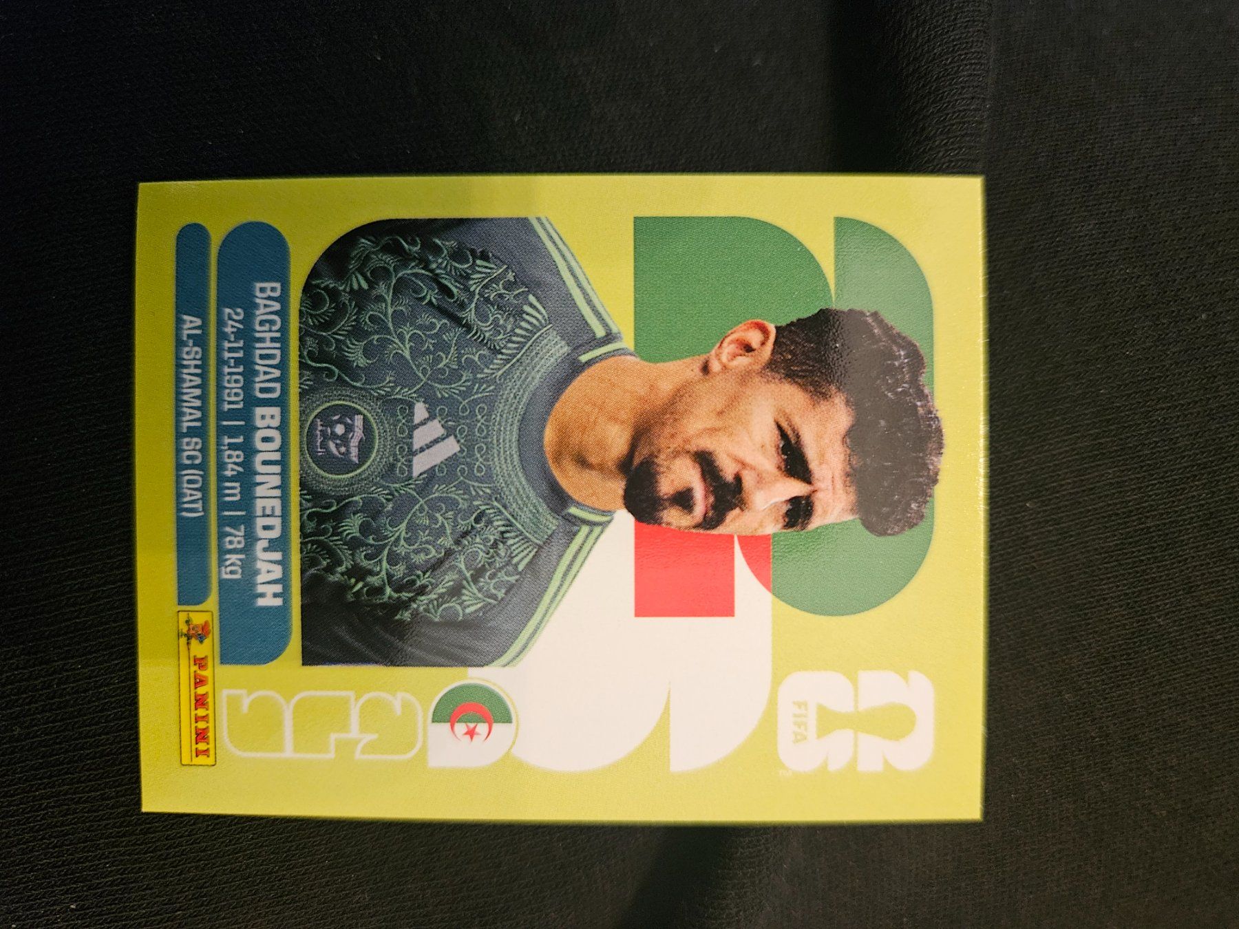 Panini Carte collezionabili: ALG19 – Usato da Würenlingen venduto da Dinli