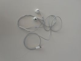 Apple Ear Pads Lightning