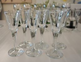 Formschöne Likörgläser Svalka Ikea 4cl 6X (FM09)