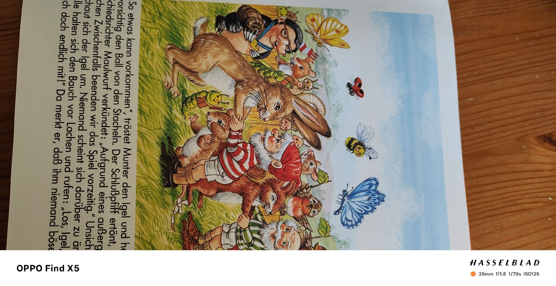 Libri: Zwergengeschichten – Usato da Volken venduto da katz5 5