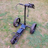 Golf-Trolley (at-hena)