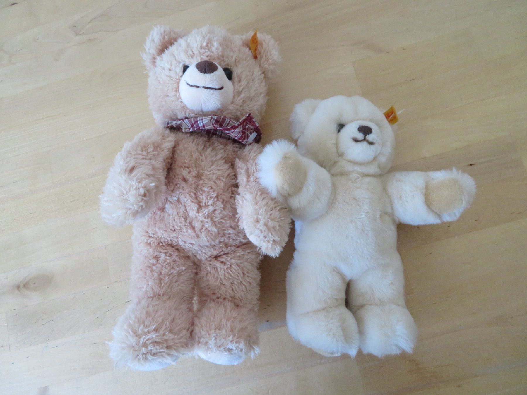 Steiff Giocattoli: Zwei STEIFF Teddys – Usato da Zürich venduto da piroma