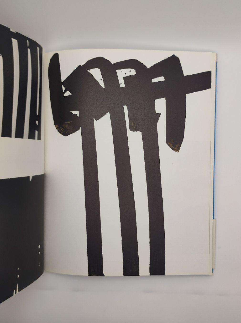Libri: PIERRE SOULAGES XXEME SIECLE – Usato da Goldach venduto da Gaip