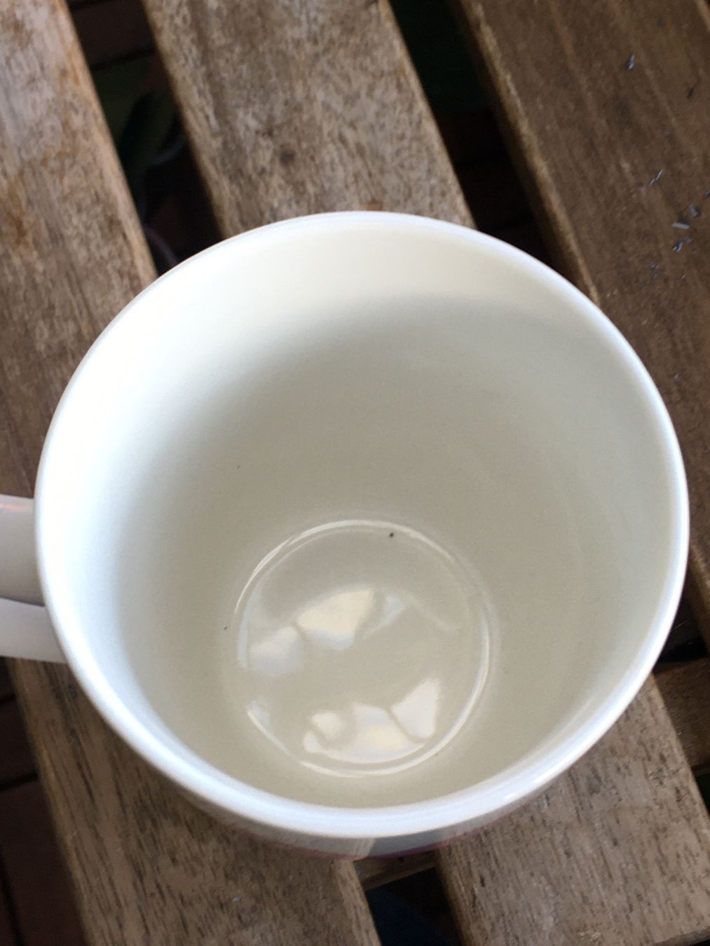 Tazze: Tasse mit Herz – Usato da Bauma venduto da Budgerigar 3