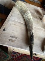Grosses Horn, echtes Naturhorn, Deko Horn