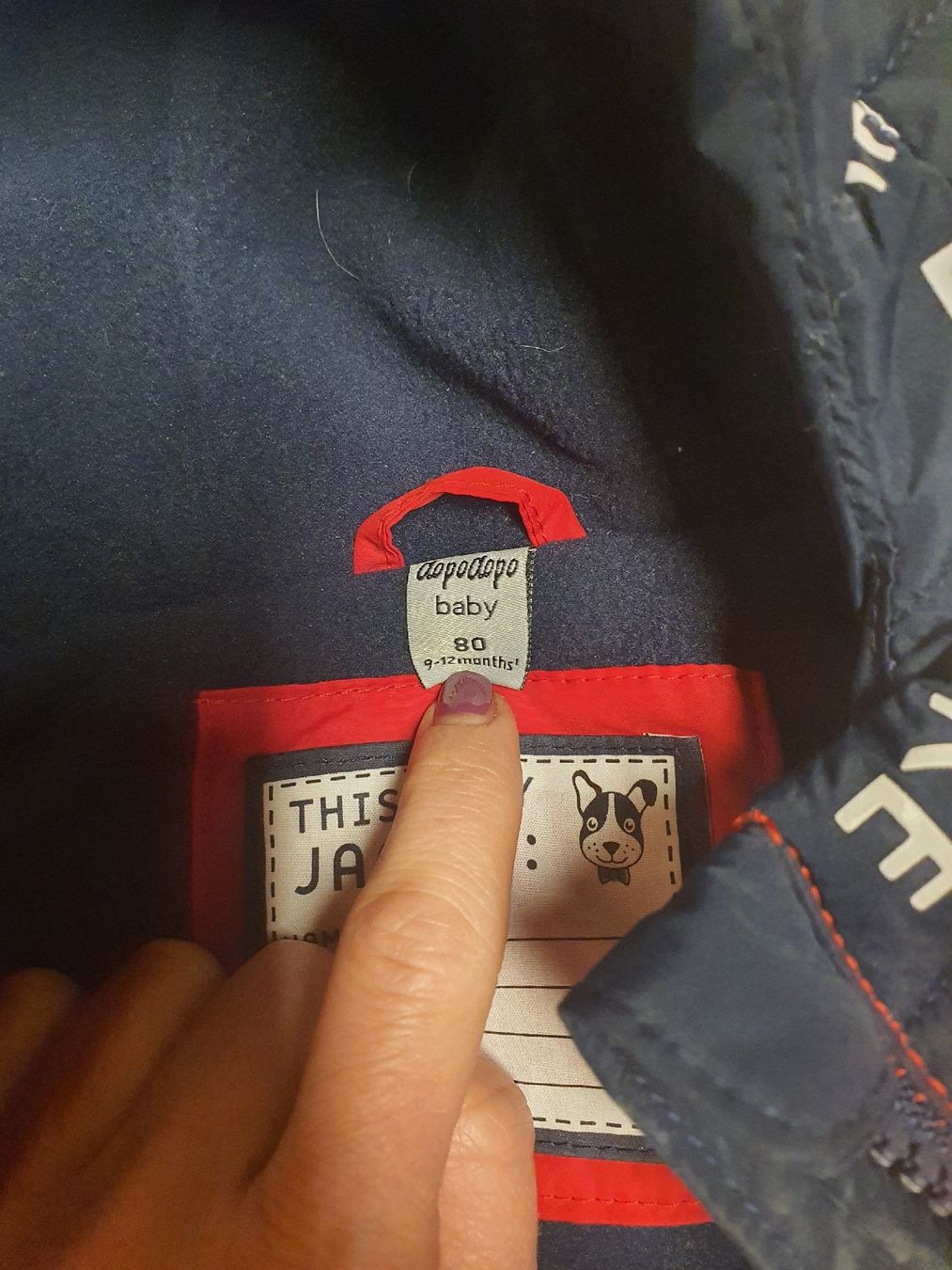 Vestes & Manteaux: Knabenjacke Grösse 80 Neuwertig – Neuf (Voir description) à Flawil par minggeli83 2